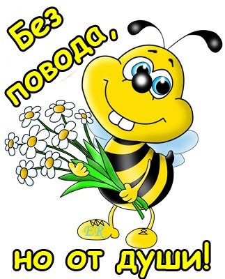 №8, Инна Лысенко №8, Инна Лысенко