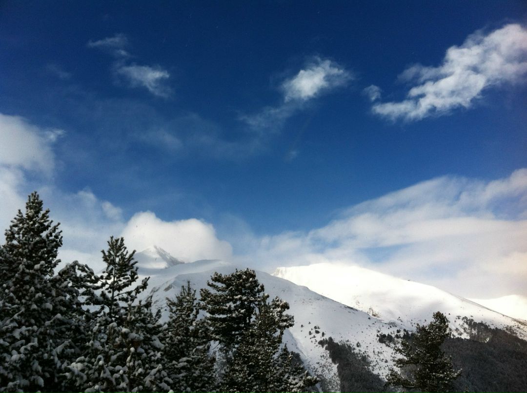 Александр Морозов | Москва