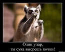 Фотография Ахмадиева Артурика