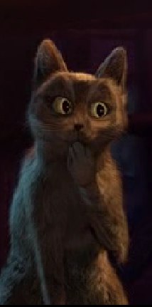 Филипп Сурмин | Краснодар