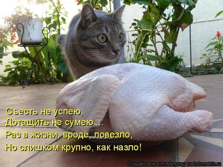 Любовь Верижникова | Ижевск