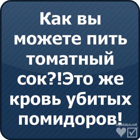 №11, Андрій Шворак №11, Андрій Шворак