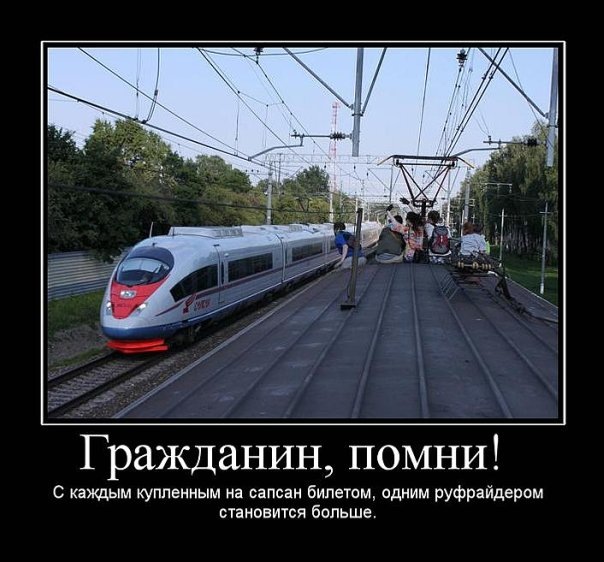 №14, Дарья Мешалкина, Санкт-Петербург №14, Дарья Мешалкина, Санкт-Петербург