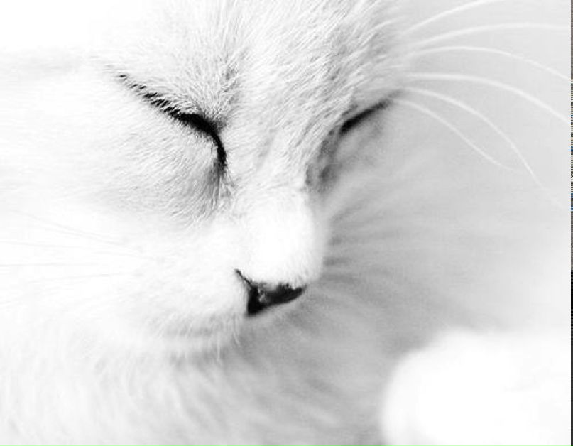 Камила Дильдарова | Астана / Нур-Султан