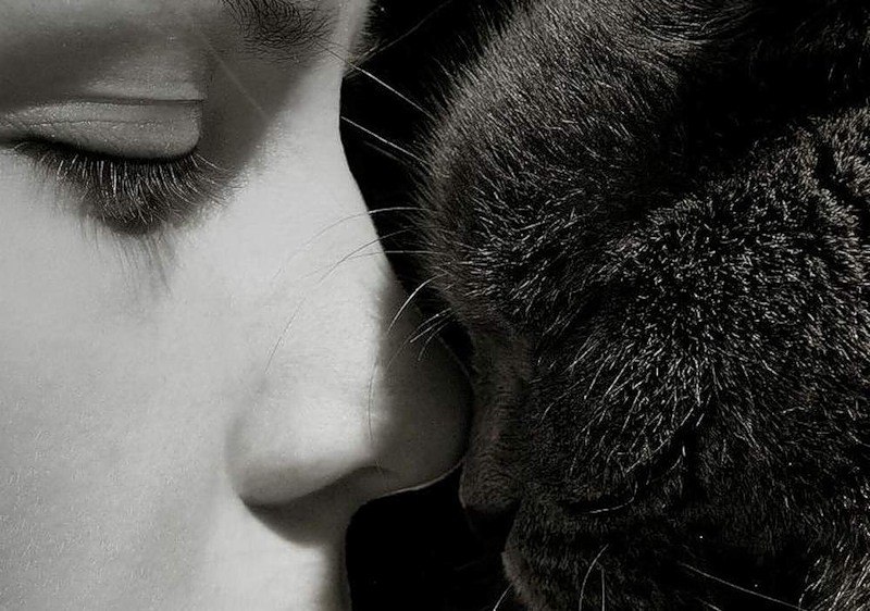 Алёна Беликова | Новосибирск