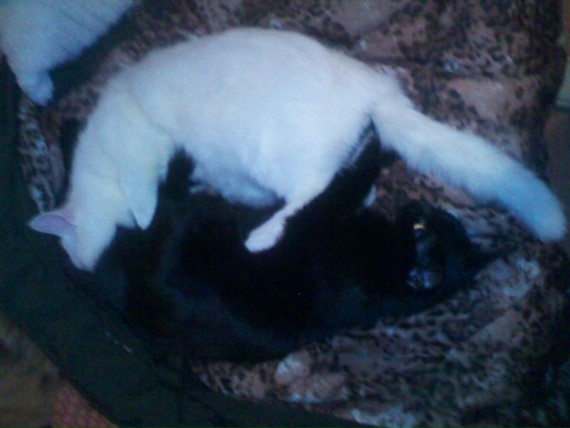 №10, Максим Касилка, Усяж №10, Максим Касилка, Усяж