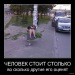 Василий Гаврилов фотография #14