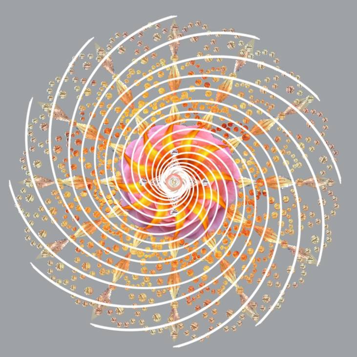 Юлия Смирнова | Санкт-Петербург