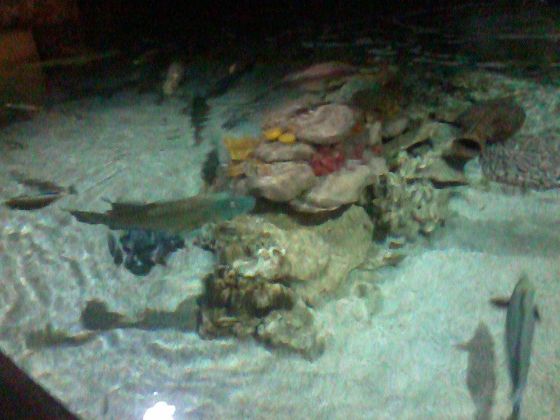 Татьяна Баранова | Санкт-Петербург