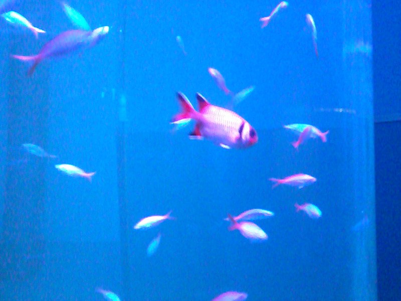 Татьяна Баранова | Санкт-Петербург