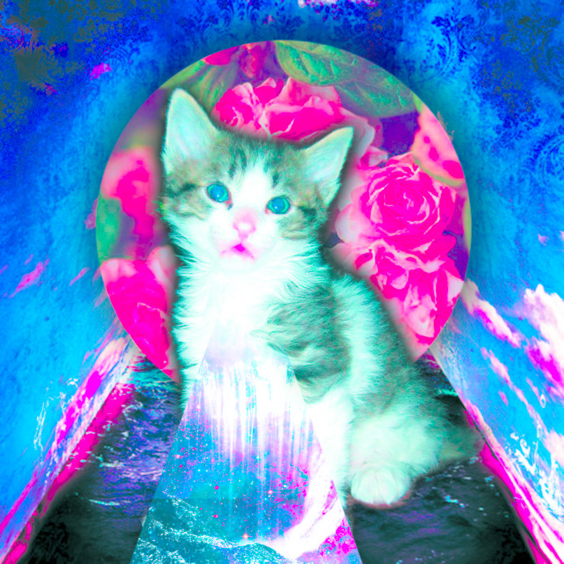 Ваня Сорокин | Санкт-Петербург