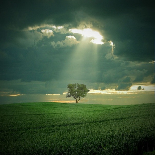 №23, Дмитрий N-A, Тбилиси №23, Дмитрий N-A, Тбилиси