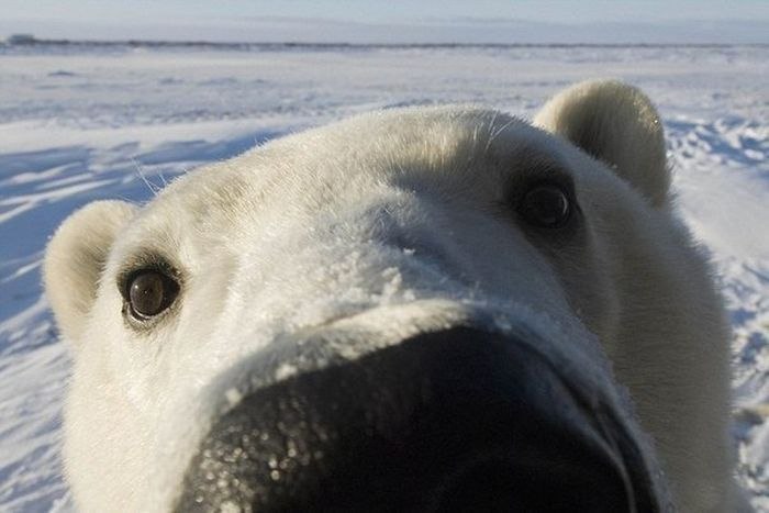Ирина Помойницкая | 