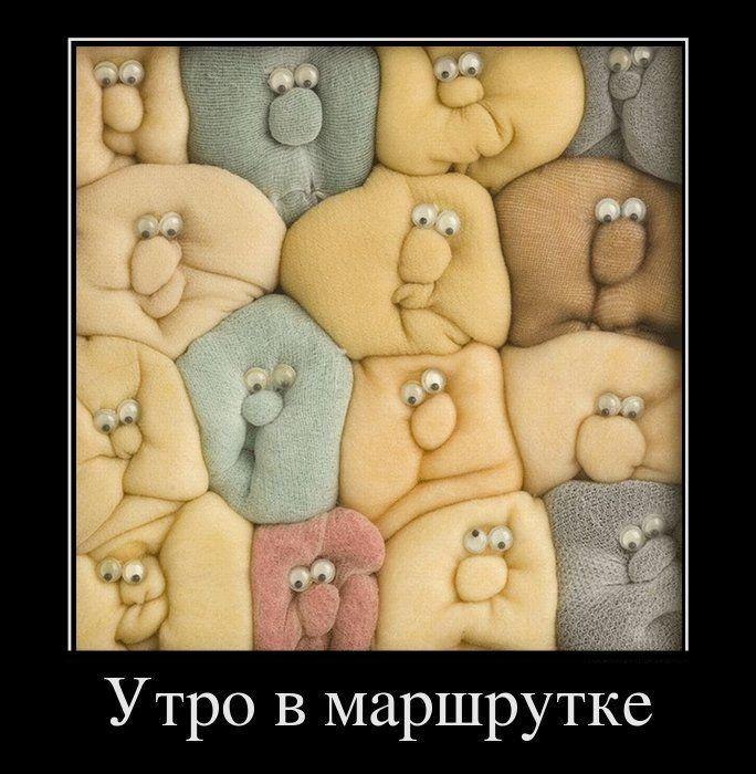 Илья Жамойдик | Красноярск