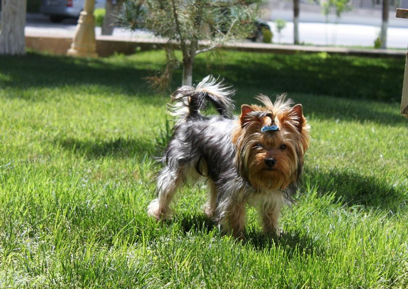 Аня Лобода | Минск