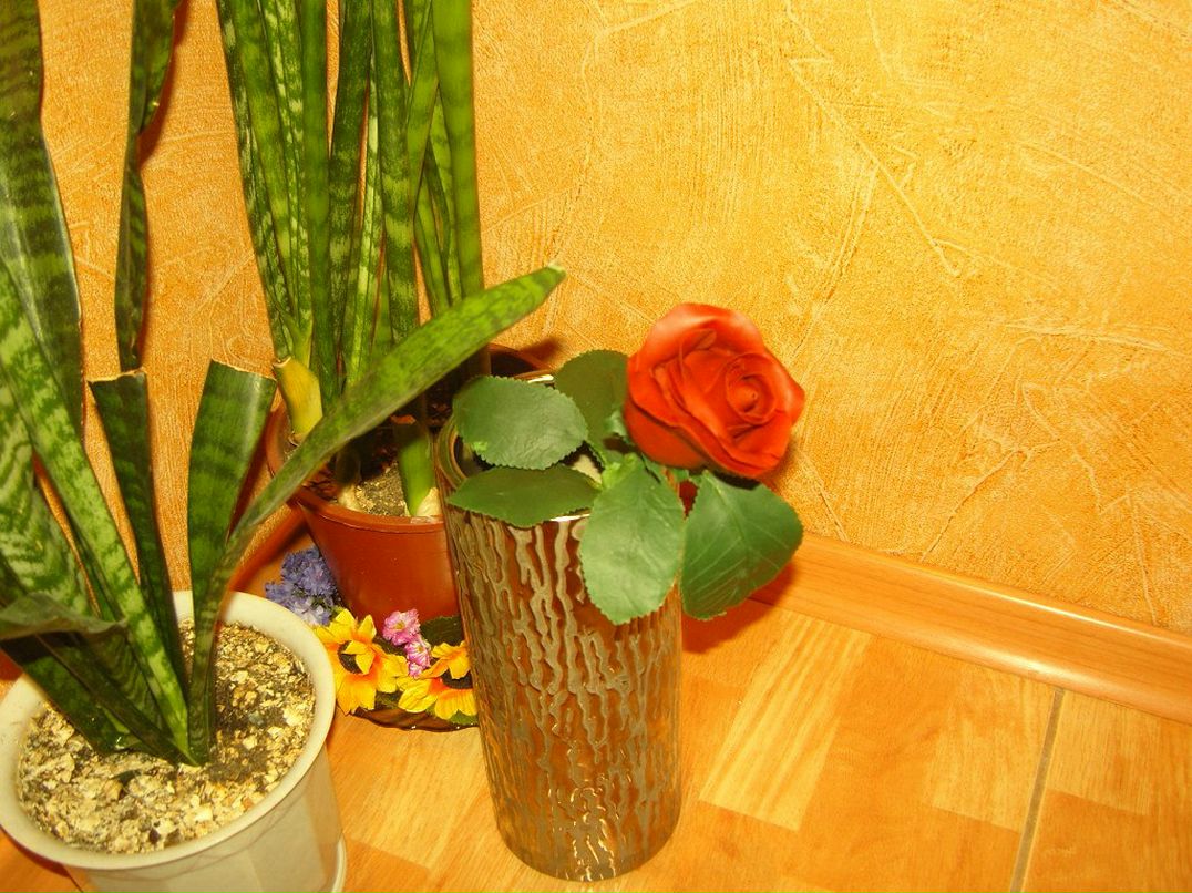 Оксана Гришко | Тюмень