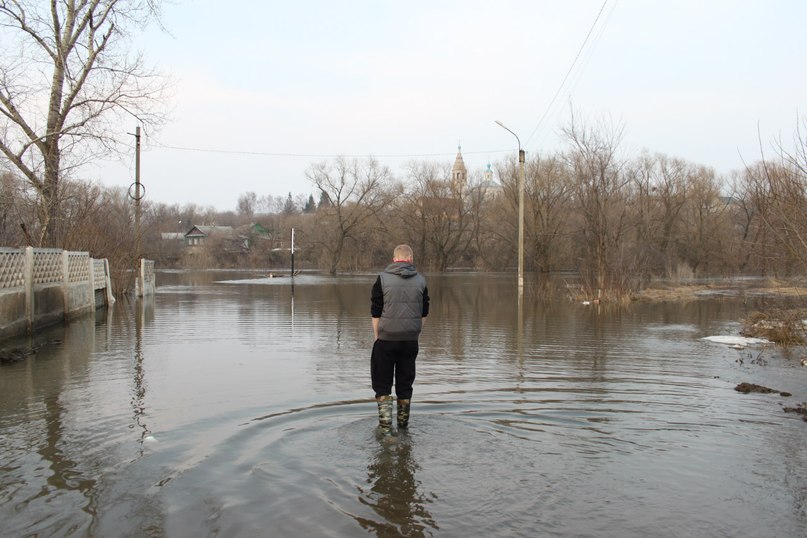 Илья Королев | Михайлов