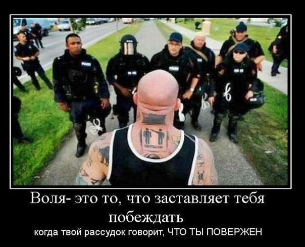 №114, Станислав Лебединец, 34 года, Золочев №114, Станислав Лебединец, 34 года, Золочев