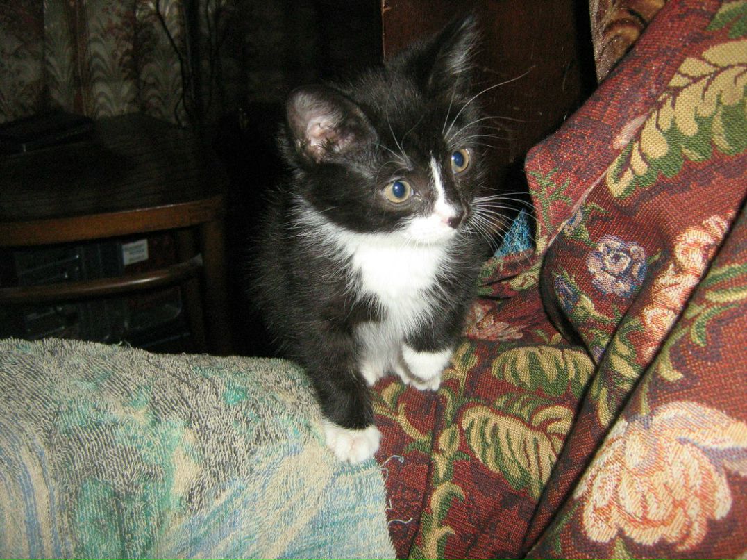 Ирина Иванова | Санкт-Петербург