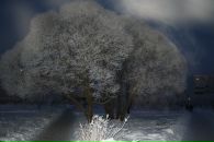 Фотография Ksusha Cherepanova