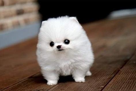 Алёна Шеремет | Одесса