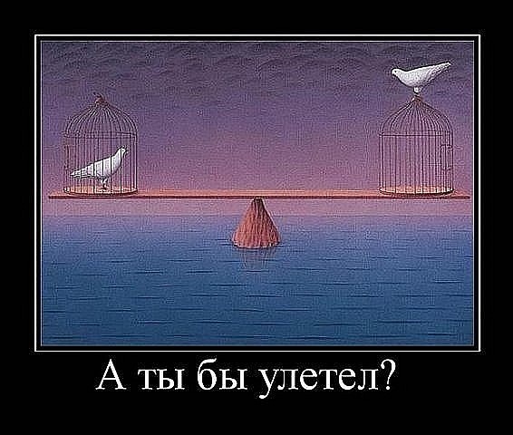 №77, Эльвира Куликова, Уфа №77, Эльвира Куликова, Уфа