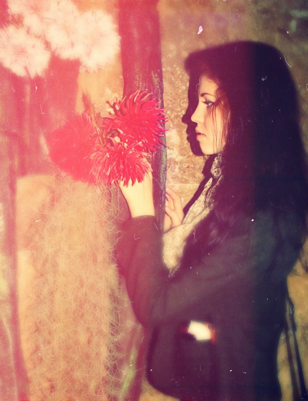 Lera Shevernova | 
