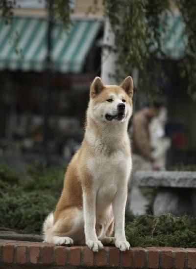 №123, Максим Антипов, 26 лет, Нижний Новгород №123, Максим Антипов, 26 лет, Нижний Новгород