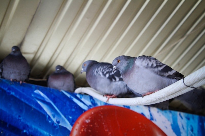 Серёжа Мусин | Ижевск