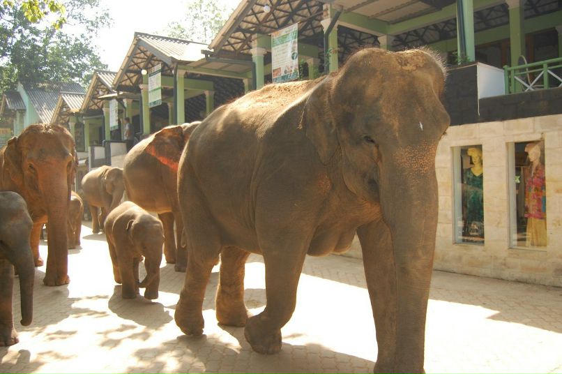 Василий Бляхарский | Киев