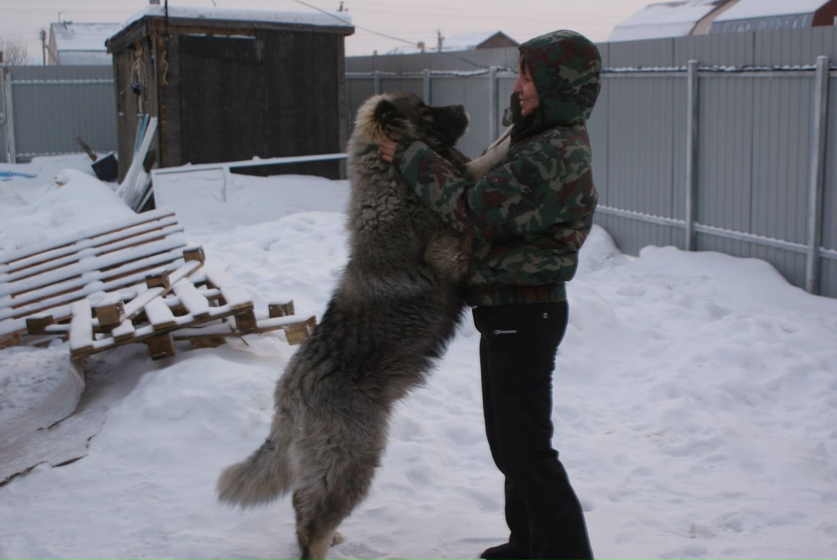 Настя Кривова | Москва
