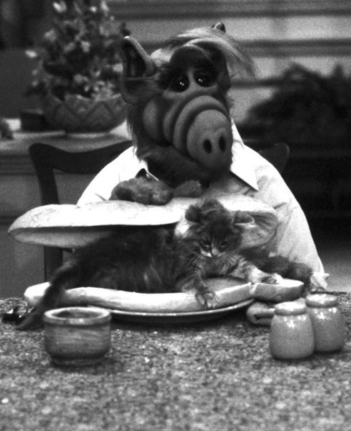 Марина Нагорная Myltik | Могилёв