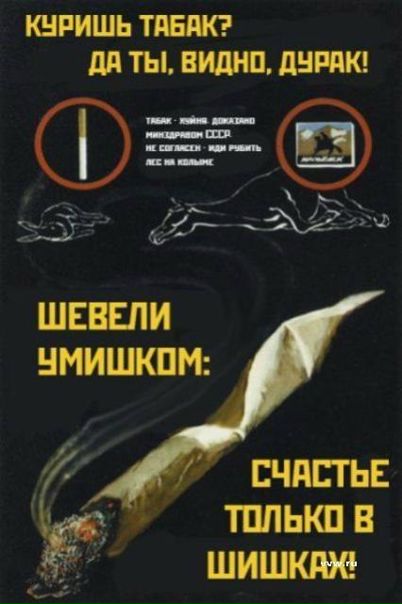 №14, Иван Солдатов, 13.11.1984 №14, Иван Солдатов, 13.11.1984