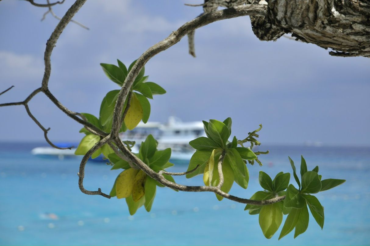 Александр Петров | Витебск