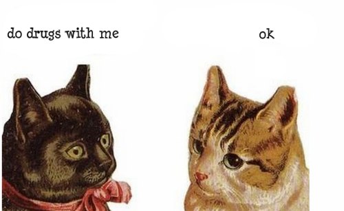 Авип Локос | Калининград