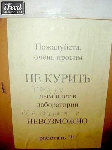 Александр  | Нижний Новгород