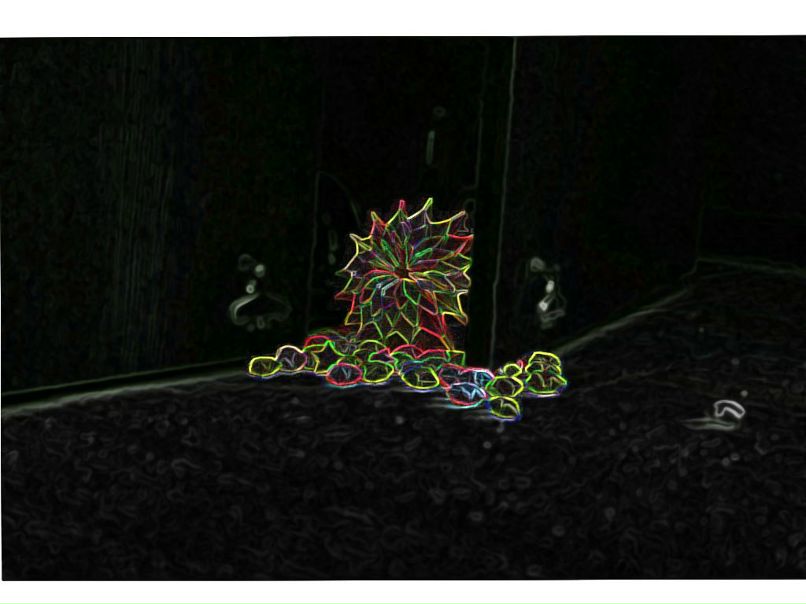 Dxm Zoob | Санкт-Петербург