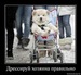 Елизавета Хлебнова фотография #16