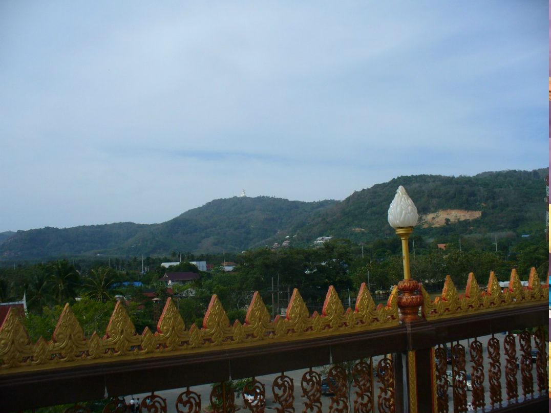 Наталья Лосева | Сосновый Бор (поселок)