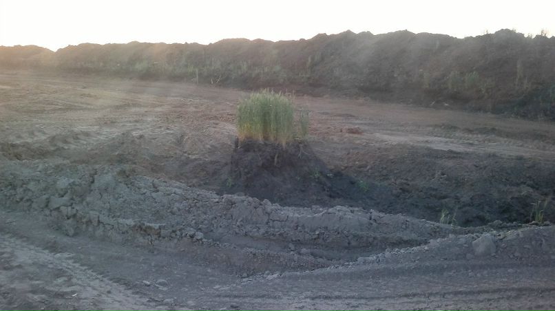 Иван Абрамович | Белгород