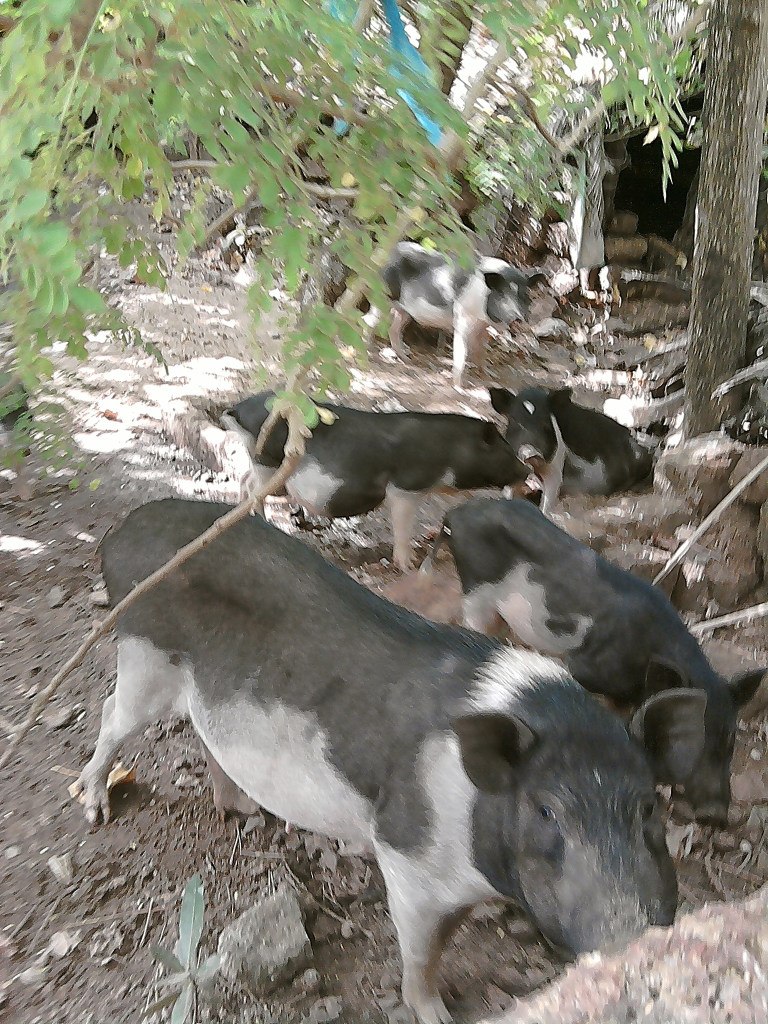 Ярослав Гуревич | Санкт-Петербург