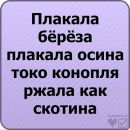 Фотография Влад Байдаев