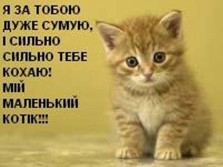 №66, Маша Каниковская, Киев №66, Маша Каниковская, Киев