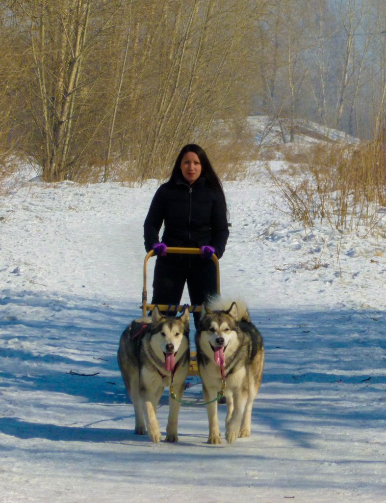 Алиса Калашникова | Красноярск