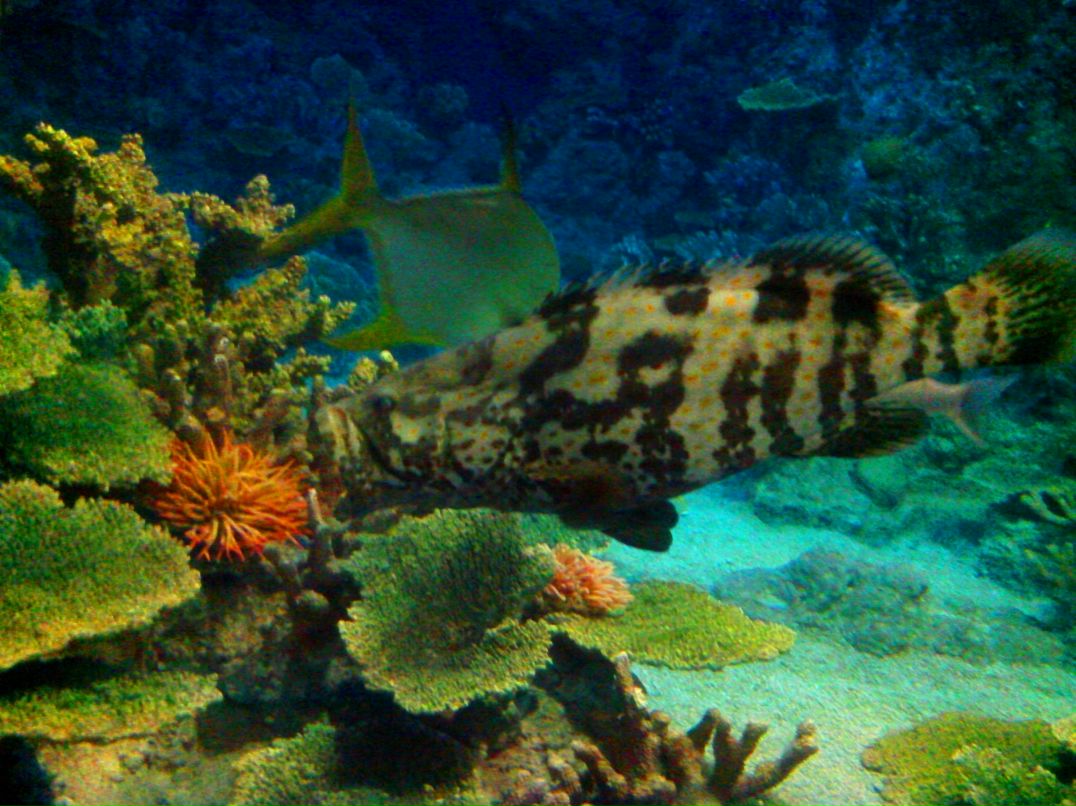 Екатерина Изворяну | Сочи