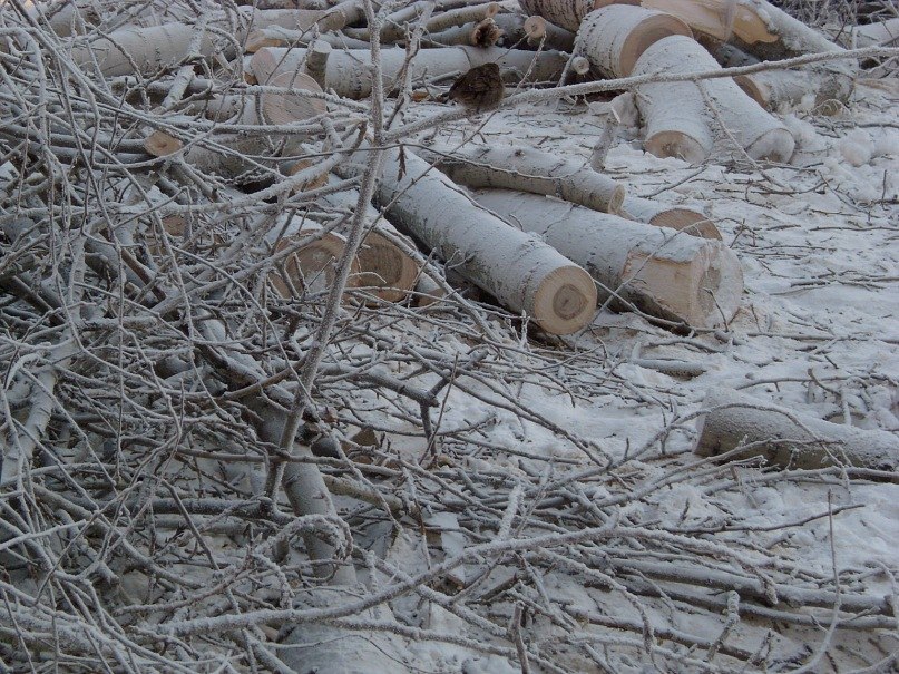 Мария Ахметянова | Челябинск