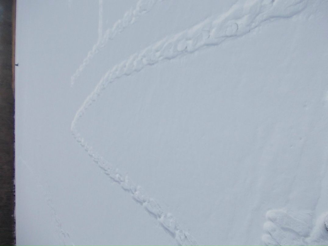 Влад Азаров ~$u$~ | 