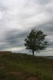 Артур Шарафутдинов фотография #28 (источник - https://vk.com/id1133608)