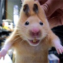 №1, Алексей Хромых, 38 лет, Улан-Удэ №1, Алексей Хромых, 38 лет, Улан-Удэ