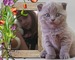 Лера Тумайкина фотография #9